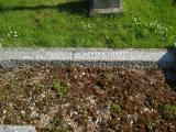 image of grave number 313134
